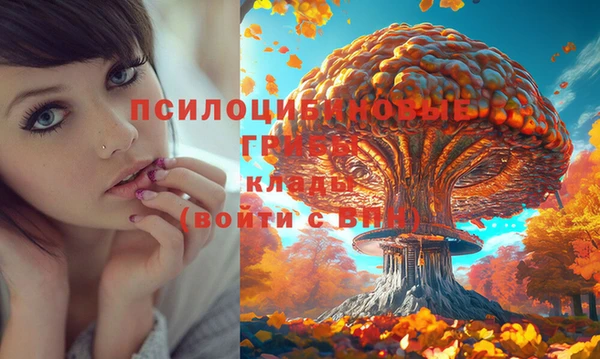 дурь Богданович