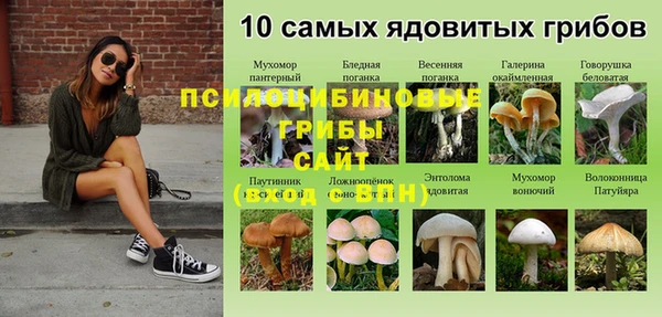 ПСИЛОЦИБИНОВЫЕ ГРИБЫ Богородицк